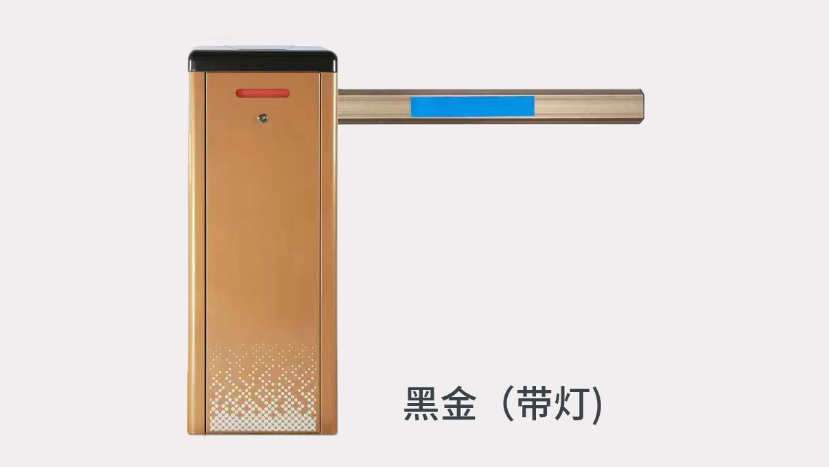道闸 (20)